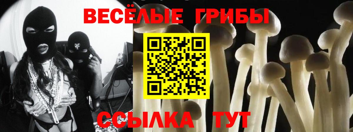 Галлюциногенные грибы Cubensis  Галлюциногенные грибы мицелий  Вход с VPN  Владимир 